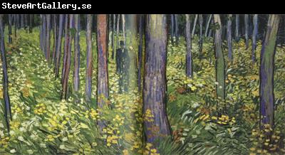 Vincent Van Gogh Undergrowth with Two Figures (nn04)